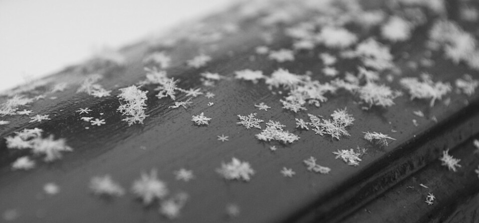 La neve è una poesia. Una poesia che cade dalle nuvole in fiocchi bianchi e leggeri. (Maxence Fermine)